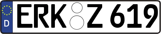 ERK-Z619