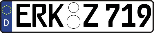 ERK-Z719