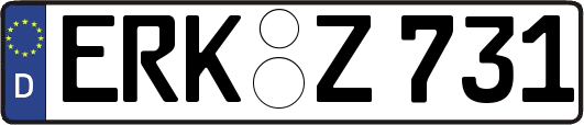 ERK-Z731
