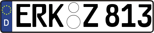 ERK-Z813