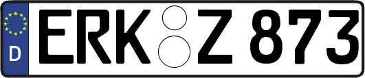 ERK-Z873