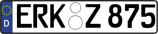 ERK-Z875