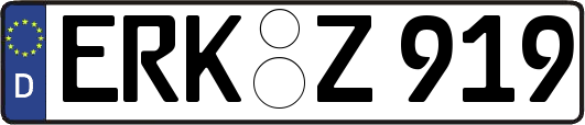 ERK-Z919
