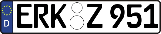 ERK-Z951