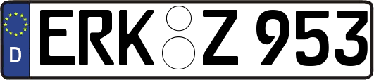 ERK-Z953