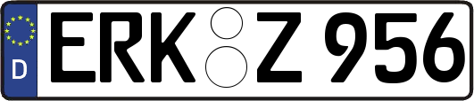 ERK-Z956