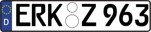 ERK-Z963