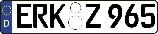 ERK-Z965