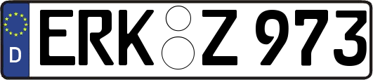 ERK-Z973