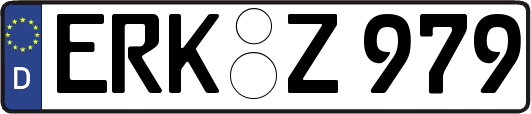 ERK-Z979