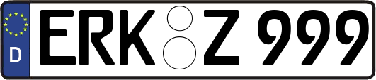 ERK-Z999