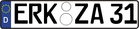 ERK-ZA31