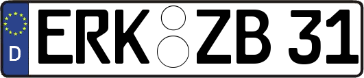 ERK-ZB31