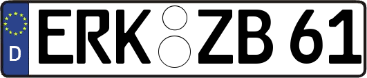 ERK-ZB61