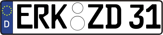 ERK-ZD31