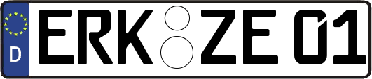 ERK-ZE01