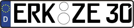 ERK-ZE30