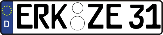 ERK-ZE31