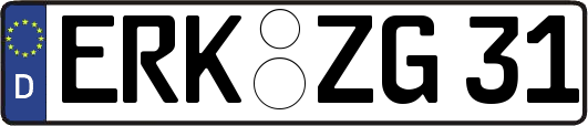 ERK-ZG31