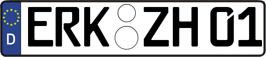ERK-ZH01
