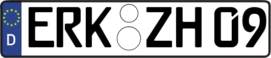 ERK-ZH09