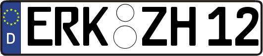 ERK-ZH12