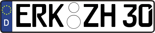 ERK-ZH30