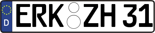 ERK-ZH31