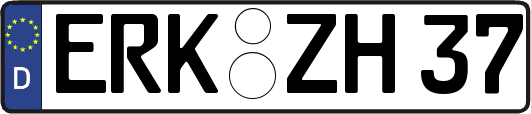 ERK-ZH37