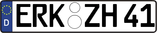 ERK-ZH41