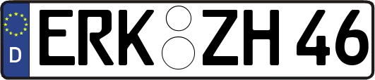 ERK-ZH46