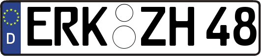 ERK-ZH48