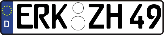 ERK-ZH49