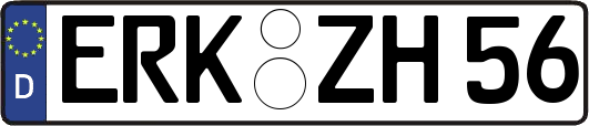 ERK-ZH56
