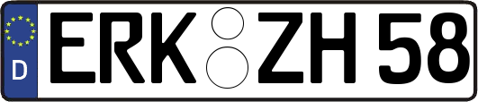 ERK-ZH58
