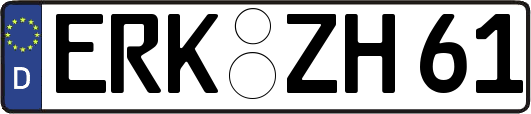 ERK-ZH61