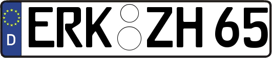 ERK-ZH65