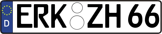 ERK-ZH66