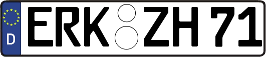 ERK-ZH71
