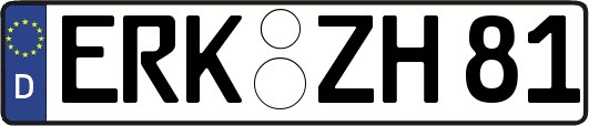 ERK-ZH81