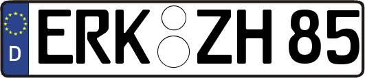 ERK-ZH85