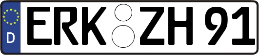 ERK-ZH91