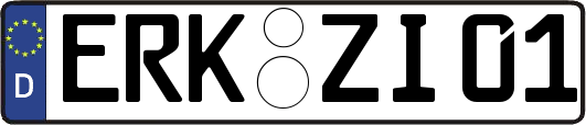 ERK-ZI01