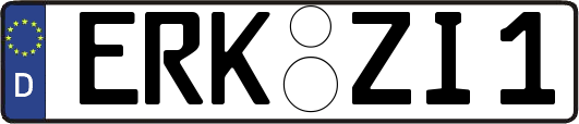 ERK-ZI1