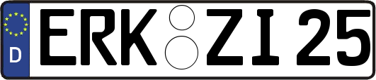 ERK-ZI25
