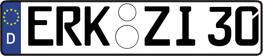 ERK-ZI30