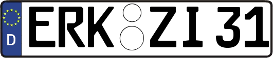 ERK-ZI31