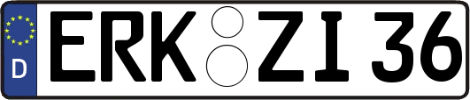 ERK-ZI36
