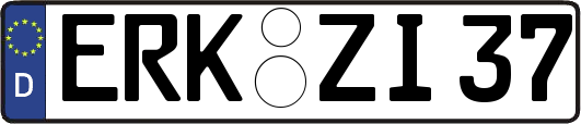ERK-ZI37