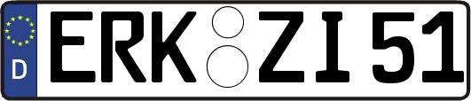 ERK-ZI51